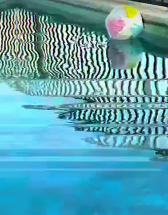 Turquoise water, a colourful ball and black-and-white waves distorted by video interference